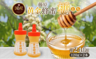 藤原黄金蜂蜜 栃 計240g はちみつ とち 国産 単花蜜 朝しぼり 完熟 ハチミツ パン 菓子 トースト ホットケーキ ヨーグルト 調味料 隠し味 お取り寄せ ポリ容器 常温 常備 送料無料 藤原養蜂場 岩手県 盛岡市