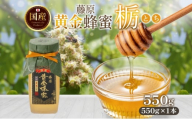 藤原黄金蜂蜜 栃 550g はちみつ とち 国産 単花蜜 朝しぼり 完熟 ハチミツ パン 菓子 トースト ホットケーキ ヨーグルト 調味料 隠し味 お取り寄せ 瓶 容器 常温 常備 送料無料 藤原養蜂場 岩手県 盛岡市
