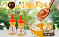 藤原国産蜂蜜 けんぽなし 計240g はちみつ ケンポナシ 玄圃梨 国産 単花蜜 朝しぼり 完熟 ハチミツ パン 菓子 トースト ホットケーキ ヨーグルト 調味料 隠し味 お取り寄せ ポリ容器 常温 常備 送料無料 藤原養蜂場 岩手県 盛岡市