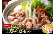 福岡限定！はかた地どり美人水炊きセット 2-3人前【A6-024】