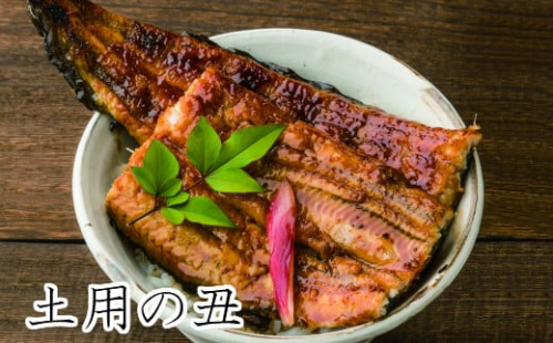 【土用丑の日（一の丑）：2025】予約受付中≪7月19日までにお届け≫田野町産うなぎの蒲焼き 2尾（冷凍）　ウナギ 鰻 かば焼き 国産 冷凍 無頭 2163822 - 高知県田野町