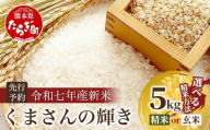 令和7年産新米【白米】 くまさんの輝き 5kg (令和7年10月中旬より順次発送) 新米 熊本県 多良木町 お米 5キロ 米 白米 精米 107-0701-h