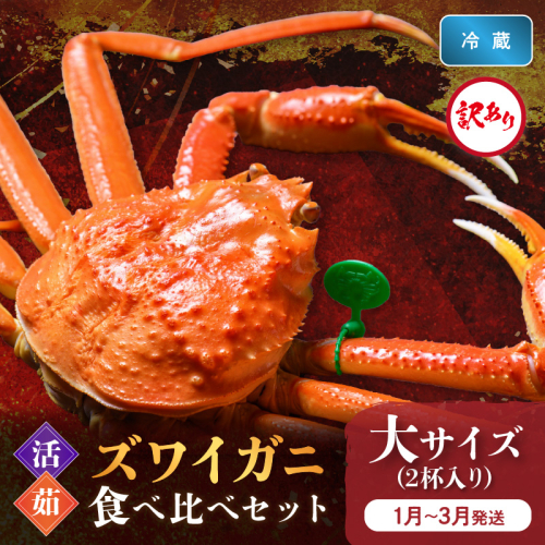 訳あり【蟹の匠 魚政】京丹後産 ズワイガニ 食べ比べセット〈活×茹〉大サイズ2杯入り　（2026年1月～3月発送） 2164174 - 京都府京丹後市