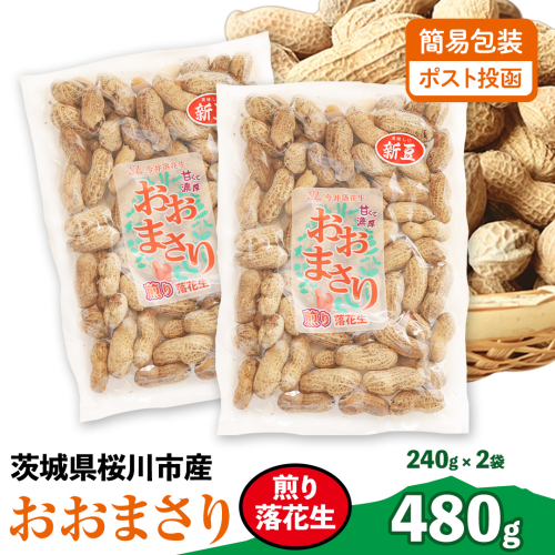 おおまさり 煎り落花生 合計480g (240g×2袋) 【2025年11月上旬から発送開始】 簡易包装 ポスト投函 ご自宅用 ピーナッツ 落花生 おつまみ おやつ お菓子 ナッツ [BB013sa] 2164241 - 茨城県桜川市