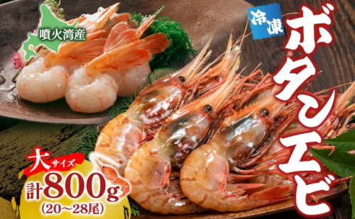 北海道 噴火湾産 冷凍ボタンエビ 大サイズ 計800g 20～28尾 ボタンエビ エビ えび 海老 北海道産 旬 ぼたんえび 刺身 牡丹海老 海鮮 魚介 甲殻類 味噌汁 鍋 海鮮丼 冷凍 洞爺湖町 2164243 - 北海道洞爺湖町