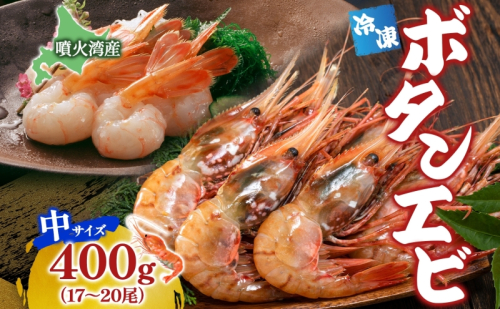 北海道 噴火湾産 冷凍ボタンエビ 中サイズ 400g 17～20尾 ボタンエビ エビ えび 海老 北海道産 旬 ぼたんえび 刺身 牡丹海老 海鮮 魚介 甲殻類 味噌汁 鍋 海鮮丼 冷凍 洞爺湖町 2164244 - 北海道洞爺湖町