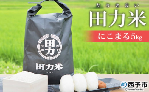 令和６年産　田力米（にこまる）５kg