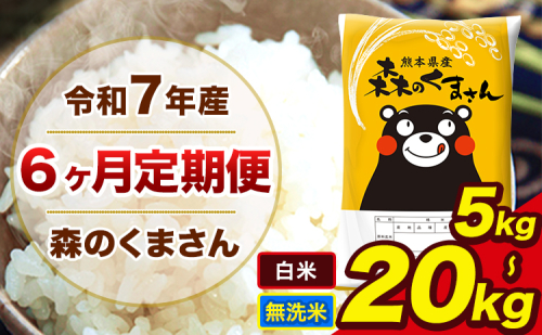 【6ヶ月定期便】 米 無洗米 白米 令和7年産 特A受賞品種 森のくまさん 送料無料 米 内容量 5kg 10kg 20kg  熊本県産(長洲町産含む) お米 《お申込み翌月から出荷》長洲町 ふるさとのうぜい 2164335 - 熊本県長洲町