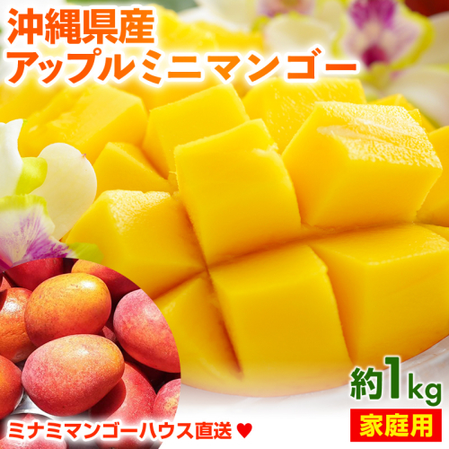 【2025年発送】ミナミマンゴーハウスのアップル ミニマンゴー約1kg【家庭用】- ご家庭用 沖縄県産 産地直送 南国フルーツ 旬の味覚 アップルマンゴー ご自宅用 オススメ 沖縄県 八重瀬町 2164362 - 沖縄県八重瀬町