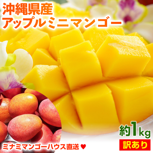【2025年発送】ミナミマンゴーハウスのアップル ミニマンゴー約1kg【訳あり】- 訳アリ 沖縄県産 産地直送 南国フルーツ 旬の味覚 アップルマンゴー ご自宅用 オススメ 沖縄県 八重瀬町 2164363 - 沖縄県八重瀬町