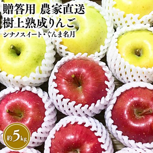 【10～11月発送】贈答用 農家直送 樹上熟成りんご シナノスイート・ぐんま名月 約5kg【平川市産・青森りんご】 2164468 - 青森県平川市
