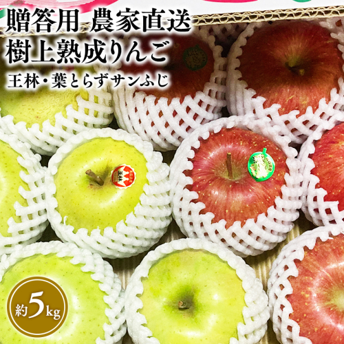 【11～12月発送】贈答用 農家直送 樹上熟成りんご 王林・葉とらずサンふじ 約5kg【平川市産・青森りんご】 2164471 - 青森県平川市