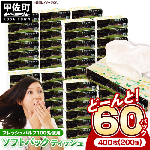 ティッシュペーパーソフトパック　４００枚（２００組）６０パック - ソフトパック ティッシュ ペーパー 生活用品 雑貨 日用品 必需品 紙 常備品 まとめ買い 備蓄 防災 ストック 熊本県 甲佐町【ZA】【価格改定】 2164491 - 熊本県甲佐町