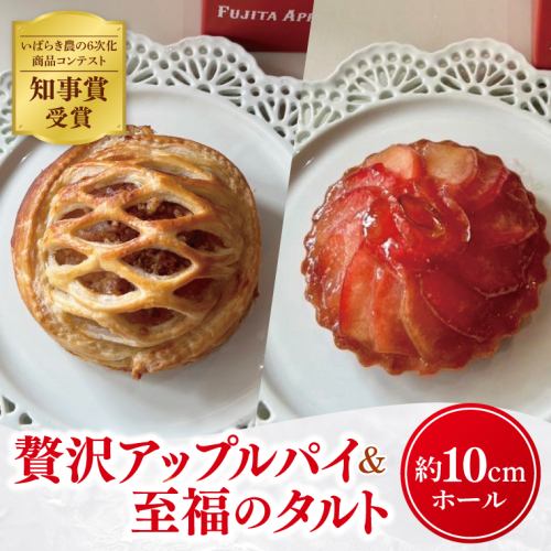 りんご園で焼いた「贅沢アップルパイ」と「至福のアップルタルト」お手軽セット｜フジタアップルオーチャード 茨城県 大子町 奥久慈 林檎 お菓子 焼菓子 おやつ デザート スイーツ(BJ007) 2164532 - 茨城県大子町
