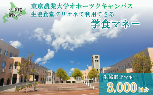 東京農業大学オホーツクキャンパス生協食堂クリオネで利用できる「学食マネー」 3,000円分 ABBF001 2164581 - 北海道網走市