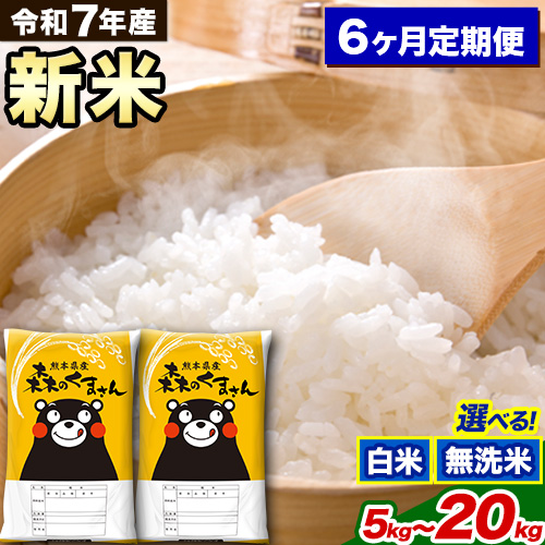 【6ヶ月定期便】新米 令和7年産 白米 無洗米 森のくまさん 5kg 10kg 15kg 20kg《1月から出荷開始》 熊本県産 白米 精米 米 こめ コメ お米 kome  2164666 - 熊本県御船町