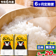 【6ヶ月定期便】令和6年産 白米 無洗米 森のくまさん 5kg 10kg 15kg 20kg《お申込み月の翌月から出荷開始》 熊本県産 白米 精米 米 こめ コメ お米 kome