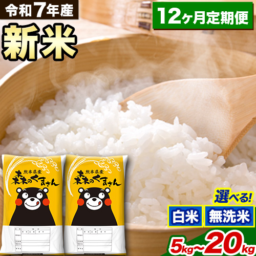 【12ヶ月定期便】新米 令和7年産 白米 無洗米 森のくまさん 5kg 10kg 15kg 20kg《1月から出荷開始》 熊本県産 白米 精米 米 こめ コメ お米 kome  2164667 - 熊本県御船町