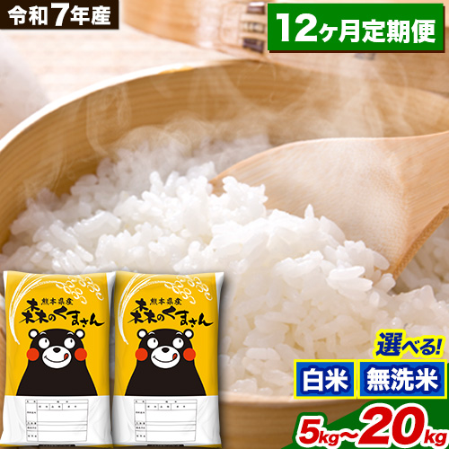 【12ヶ月定期便】令和7年産 白米 無洗米 森のくまさん 5kg 10kg 20kg《お申込み翌月から出荷》 熊本県産 白米 精米 米 こめ コメ お米 kome  2164667 - 熊本県御船町