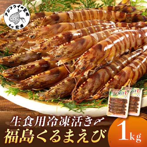 生食用冷凍活き〆福島くるまえび500g×2パック( 車エビ クルマエビ くるまえび えび エビ 海老 生食用 )【C5-029】 2164745 - 長崎県松浦市