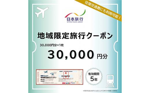 富山県立山町 日本旅行 地域限定旅行クーポン30,000円分 旅 旅行 観光 レジャー チケット クーポン 立山観光 F6T-755 2164747 - 富山県立山町