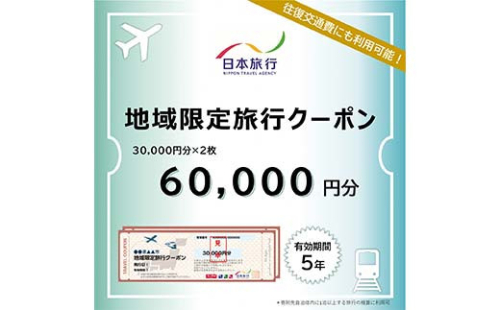 富山県立山町 日本旅行 地域限定旅行クーポン60,000円分 旅 旅行 観光 レジャー チケット クーポン 立山観光 F6T-756 2164748 - 富山県立山町