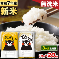 【3ヵ月定期便】新米 米 令和7年産 無洗米 ひのひかり 森のくまさん 2種 食べ比べ 米 計10kg 計20kg 《お申込み月の翌月から出荷開始》 ヒノヒカリ お米 こめ 熊本県産 精米 森くま ブランド米 ご飯