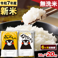 【6ヵ月定期便】新米 米 令和7年産 無洗米 ひのひかり 森のくまさん 2種 食べ比べ 米 計10kg 計20kg 《お申込み月の翌月から出荷開始》 ヒノヒカリ お米 こめ 熊本県産 精米 森くま ブランド米 ご飯