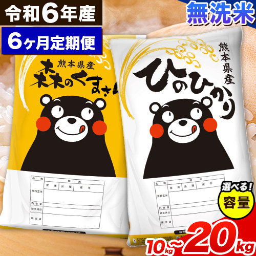 【6ヵ月定期便】米 令和6年産 無洗米 ひのひかり 森のくまさん 2種 食べ比べ 米 計10kg 計20kg 《お申込み月の翌月から出荷開始》 ヒノヒカリ お米 こめ 熊本県産 精米 森くま ブランド米 ご飯 2164752 - 熊本県御船町