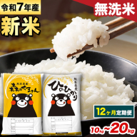 【12ヵ月定期便】新米 米 令和7年産 無洗米 ひのひかり 森のくまさん 2種 食べ比べ 米 計10kg 計20kg 《お申込み月の翌月から出荷開始》 ヒノヒカリ お米 こめ 熊本県産 精米 森くま ブランド米 ご飯