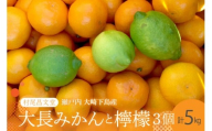 [2025年12月上旬〜発送]広島 大長みかんと大長檸檬3個セット 5kg ku012-010-25