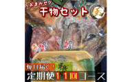 【毎月定期便11回】厳選！小田原の旬の干物セット 極【 まぐろや 神奈川県小田原市 】