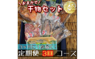 【3ヶ月に1回定期便3回】厳選！小田原の旬の干物セット 極【 まぐろや 神奈川県小田原市 】