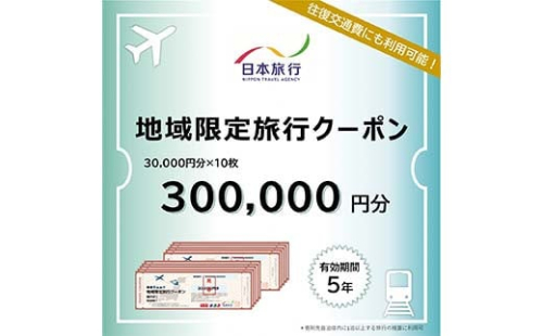 富山県立山町 日本旅行 地域限定旅行クーポン300,000円分 旅 旅行 観光 レジャー チケット クーポン 立山観光 F6T-759 2164939 - 富山県立山町