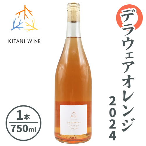 デラウェアオレンジ 2024 (750ml×1本)｜ワイン 果実酒 奈良 香芝 [2910] 2165883 - 奈良県香芝市