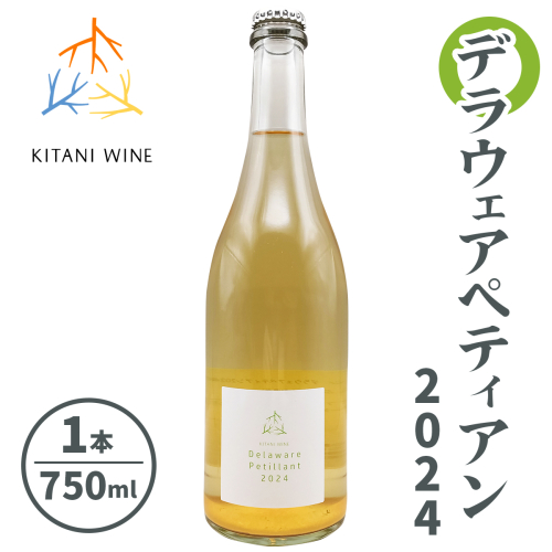 デラウェアペティアン 2024 (750ml×1本)｜ワイン 果実酒 奈良 香芝 [2912] 2165885 - 奈良県香芝市