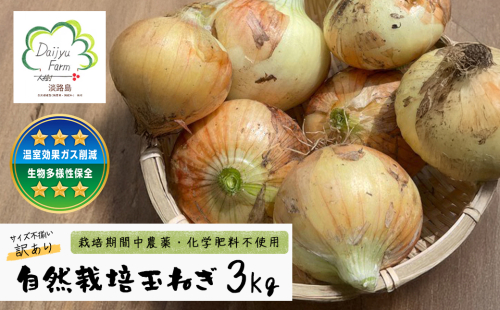 自然栽培玉ねぎ 3kg 《大小様々なサイズのため訳あり》 2166175 - 兵庫県淡路市