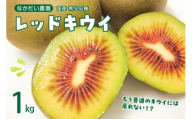 [2025年9月下旬〜発送]希少品種「 レッドキウイ 」国産 約1kg ku033-002-25