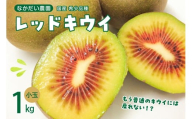 [2025年9月下旬〜発送][小玉]希少品種「 レッドキウイ 」国産 約1kg ku033-006-25