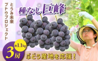 ぶどうの産地を応援！！とうみ未来ブドウプロジェクトと子どもたちが送る　種なし巨峰 3房（約1.1kg）【秋お届け】｜長野県  人気 ぶどう 贈答用 ギフト フルーツ 果物 おすすめ 厳選 種無し 大粒
