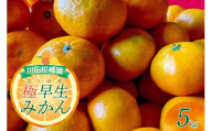 【2025年9月下旬～発送】川田柑橘園 呉市大長産 「極早生みかん」5kg ku055-004-25