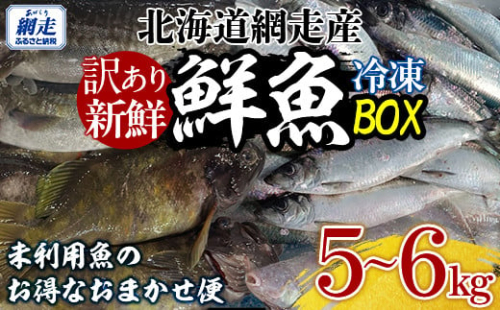 【訳あり】網走産冷凍鮮魚BOX～未利用魚の有効活用（漁業生産者応援企画）～ ABAE011 2166908 - 北海道網走市