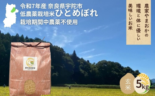 ＜令和7年産・先行予約＞ひとめぼれ 玄米 5kg 9月末より順次発送 ／ ふるさと納税 低農薬 米 お米 こめ コメ 国産 新米 玄米 農家やまおか 奈良県 宇陀市 2166915 - 奈良県宇陀市