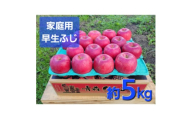 ＜訳あり＞青森県産りんご「早生ふじ 家庭用」約5kg　産地直送!【1517218】