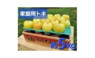 ＜訳あり＞青森県産りんご「トキ　家庭用」約5kg　産地直送!【1517219】