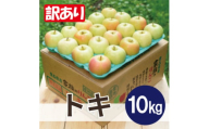 ＜25年10月出荷＞平均糖度12度以上! トキ 約10kg 訳あり【1626500】