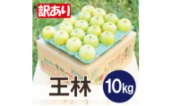 ＜25年11月出荷＞平均糖度13度以上! 王林 約10kg 訳あり【1626518】