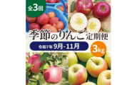 ＜発送月固定定期便＞青森りんご 訳あり 品種おまかせ 3kg 9月～11月全3回【4067590】
