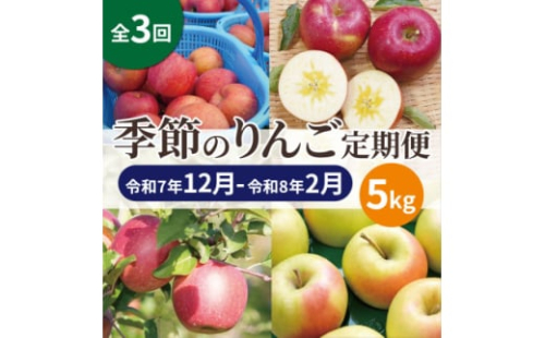 <発送月固定定期便>青森りんご 訳あり 品種おまかせ 5kg 12月~2月全3回【4067594】 2167002 - 青森県黒石市