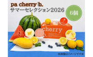 【PB05S】pa cherry b．サマーセレクション2026ジェラート6個セット